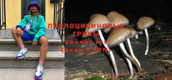 ГАЛЛЮЦИНОГЕННЫЕ ГРИБЫ Алексеевка