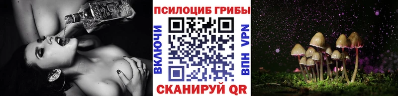нарко площадка клад  Камызяк  Псилоцибиновые грибы прущие грибы 